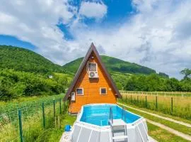 Pyramid Energy House