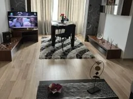 Apartament 3 camere ,elegant și confortabil,centru orașului