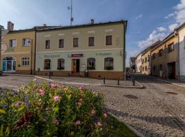 Penzion a restaurace U Vladaře，位于Toužim的宾馆