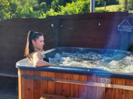 Solny - Resort w Bieszczadach，位于齐斯纳的酒店