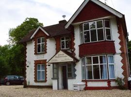 Gatwick Birchwood Lodge with Holiday Parking，位于霍利的酒店