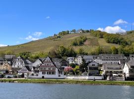 Ferienhaus Mosel Türmchen，位于摩泽尔河畔的泽尔的酒店