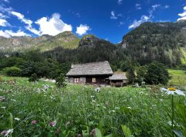 Walser Haus- Bluchalet，位于格雷索圣尚的酒店