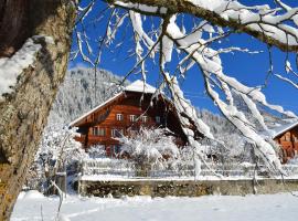 Swiss Mountain-Valley View Lodge，位于Erlenbach im Simmental的乡村别墅