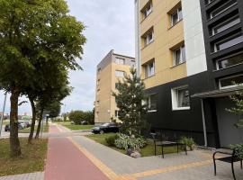 One bedroom apartments in central Joniškis，位于约尼什基斯的酒店