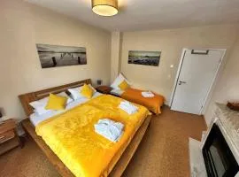 CATS Home and Apartment