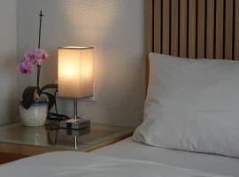 Hotel Birnbaum，位于安斯巴赫的酒店