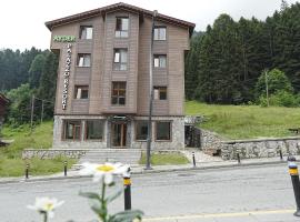 Ayder Palazzo Resort，位于艾德亚耶拉西的酒店