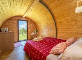 Dormire in una botte - Antiche Vigne Pironti