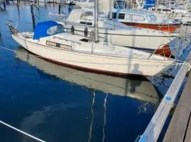 Unique boat 1