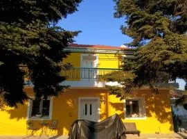 Yellow House