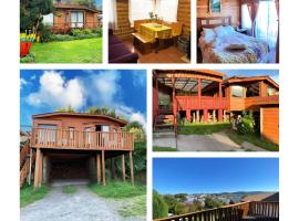 Cabañas y Hostal Isla Mágica，位于安库德的酒店