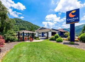 Comfort Inn near Great Smoky Mountain National Park，位于马吉谷的酒店