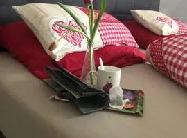Ferienwohnung Silvaner in fränkischer Weinregion