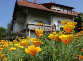 Ferienwohnung Haus Doris，位于里肯巴赫的酒店