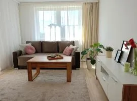 Apartament Biłgorajski w Śródmieściu