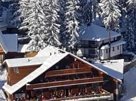 Pansion Vlašić Ski