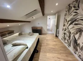 LOFT DE LUXE proche A9 ,gare ,centre ville,commerce