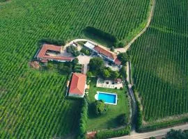 Quinta das Vianas - Casas do Picadeiro