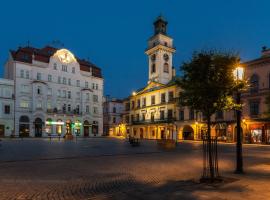 Cieszyński Aparthotel Centrum，位于切申的酒店