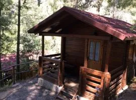 Camping La Eliza Lanzahíta