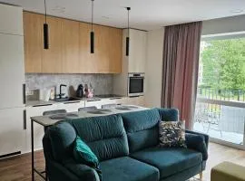 Milda's apartment Kaunas