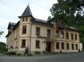 克拉里塞克酒店，位于图尔诺夫的酒店