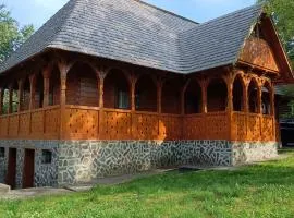 Casa de vacanta Padis