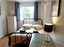 Nice room in Battersea Park Zone 1