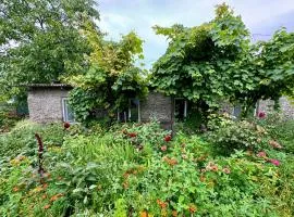 Old Farm