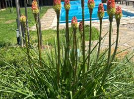 Chez le Colonel Pool House，位于Dobromirka的自助式住宿