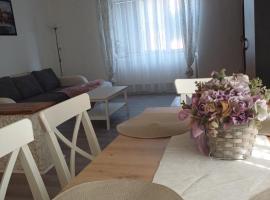 Apartmán Silvie，位于Křesetice的酒店