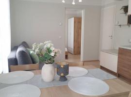 Cozy apartament near bus station，位于派尔努的酒店
