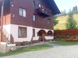 Casa ALINA ȘI ANDREEA，位于阿列谢尼的酒店