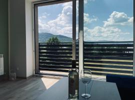 Beskid Rest Apartments，位于耶维克的酒店