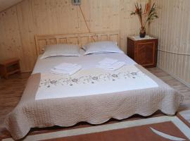Pensiune Colina Farm，位于Găgeni的酒店
