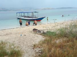 Boa Ende Boat Trip，位于Boras的船屋