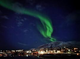 1. etg i Dampskipsbrygga, Lødingen havn，位于勒丁恩的酒店