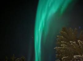 2. etg i Dampskipsbrygga, Lødingen havn，位于勒丁恩的酒店