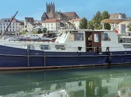 Spicy - Séjour insolite sur la Marne，位于莫城的酒店