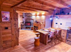 JOIVY Modern family chalet with stunning mountain views，位于尚波吕克的酒店