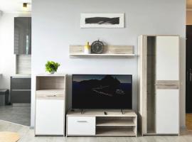 Alejas Apartments，位于雷泽克内的酒店