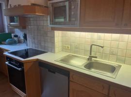 Apartment Weitblick - Cosy 65m2 appartment with balcony，位于弗林肯贝格的公寓