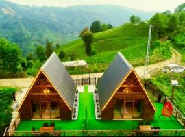 Armola Bungalov，位于Ardeşen的酒店