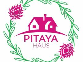 Pitaya Haus Lofts，位于布吕斯克的酒店