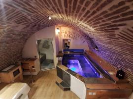 Studio et spa privatif Le Puits de la Grâce，位于阿尔比的酒店