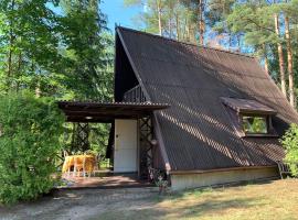 Kamińsko, Puszcza Zielonka, dom nad jeziorem，位于Kamińsko的酒店