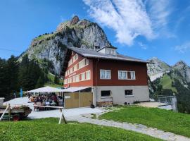 Berggasthaus Holzegg - Accessible Only by Cable Car，位于Alpthal的酒店