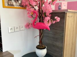 maison pink flamingo aeroport tillé 2 a 4 personnes，位于Tillé的酒店