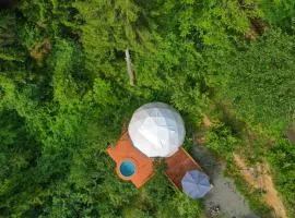 Ajara Glamping Kokotauri